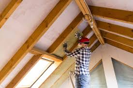 Best Commercial Insulation Services  in Chandler, TX