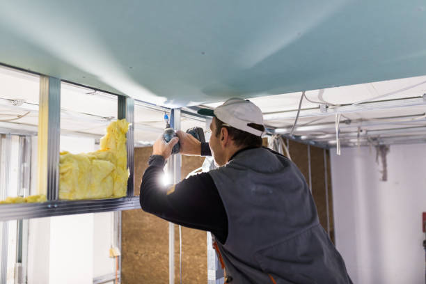 Best Garage Insulation  in Chandler, TX