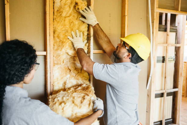 Best Radiant Barrier Insulation  in Chandler, TX