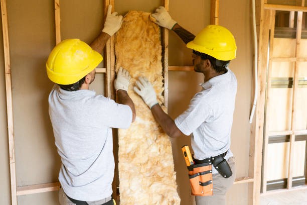 Best Garage Insulation  in Chandler, TX