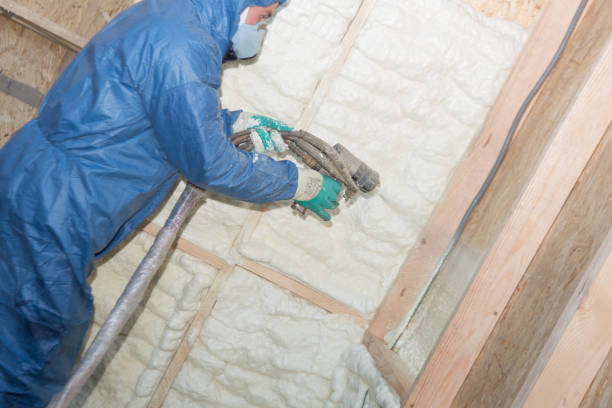 Best Commercial Insulation Services  in Chandler, TX